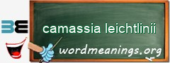 WordMeaning blackboard for camassia leichtlinii